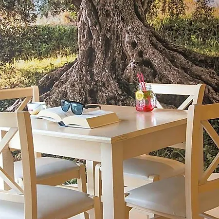 Hotel Primavera 3*
